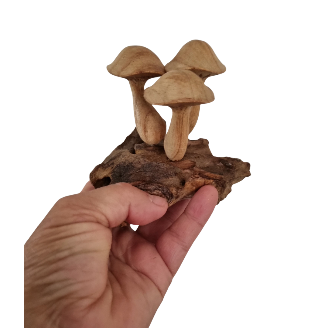 Mushroom Artwork Wooden Carvings