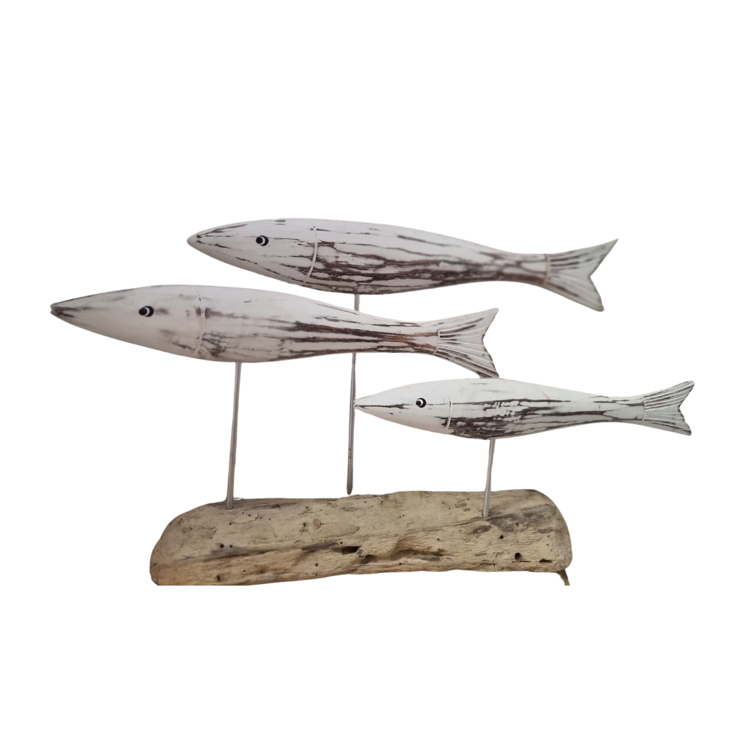 School Of Fish on Drift Wood Rustic