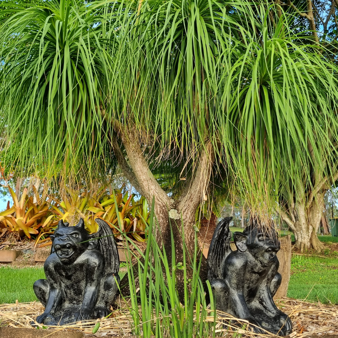 Gargoyle Garden Statues Rustic Style