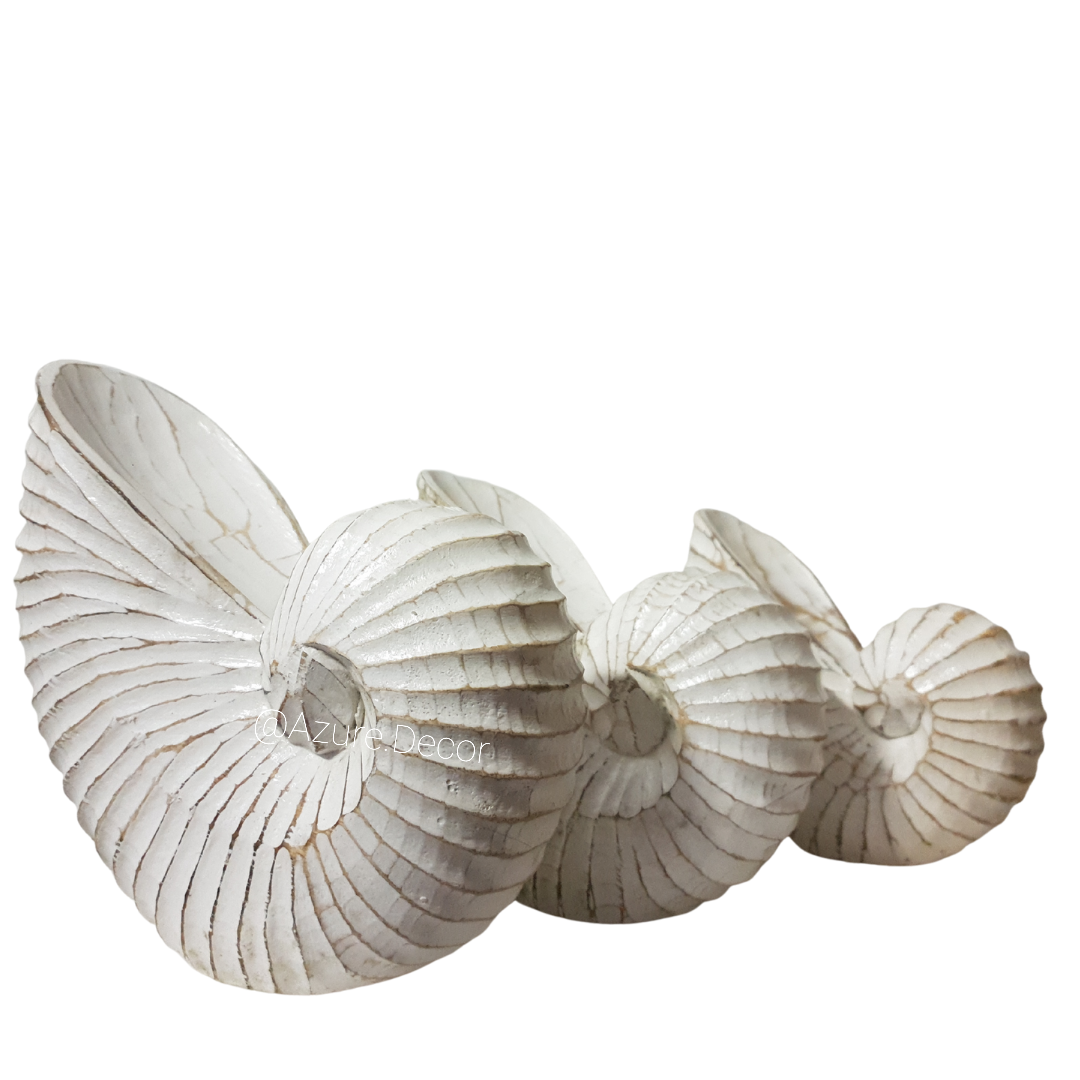 Nautilus Wooden Shell Carving