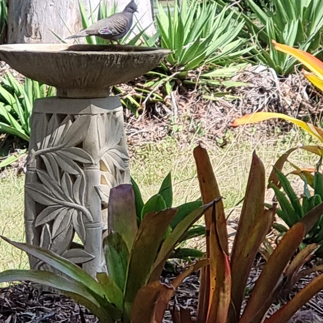  Bird Bath - Planter Garden Décor