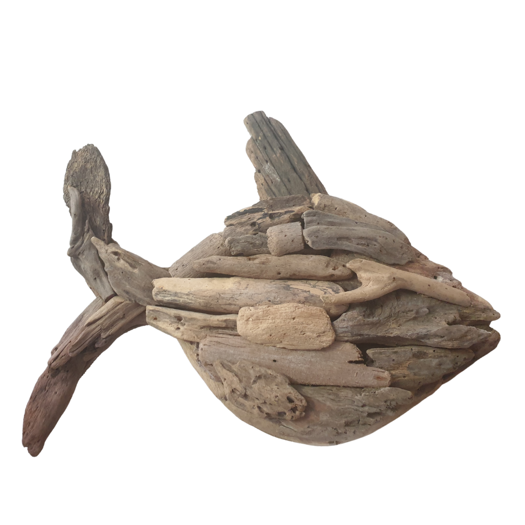 Driftwood Fish Boho Style