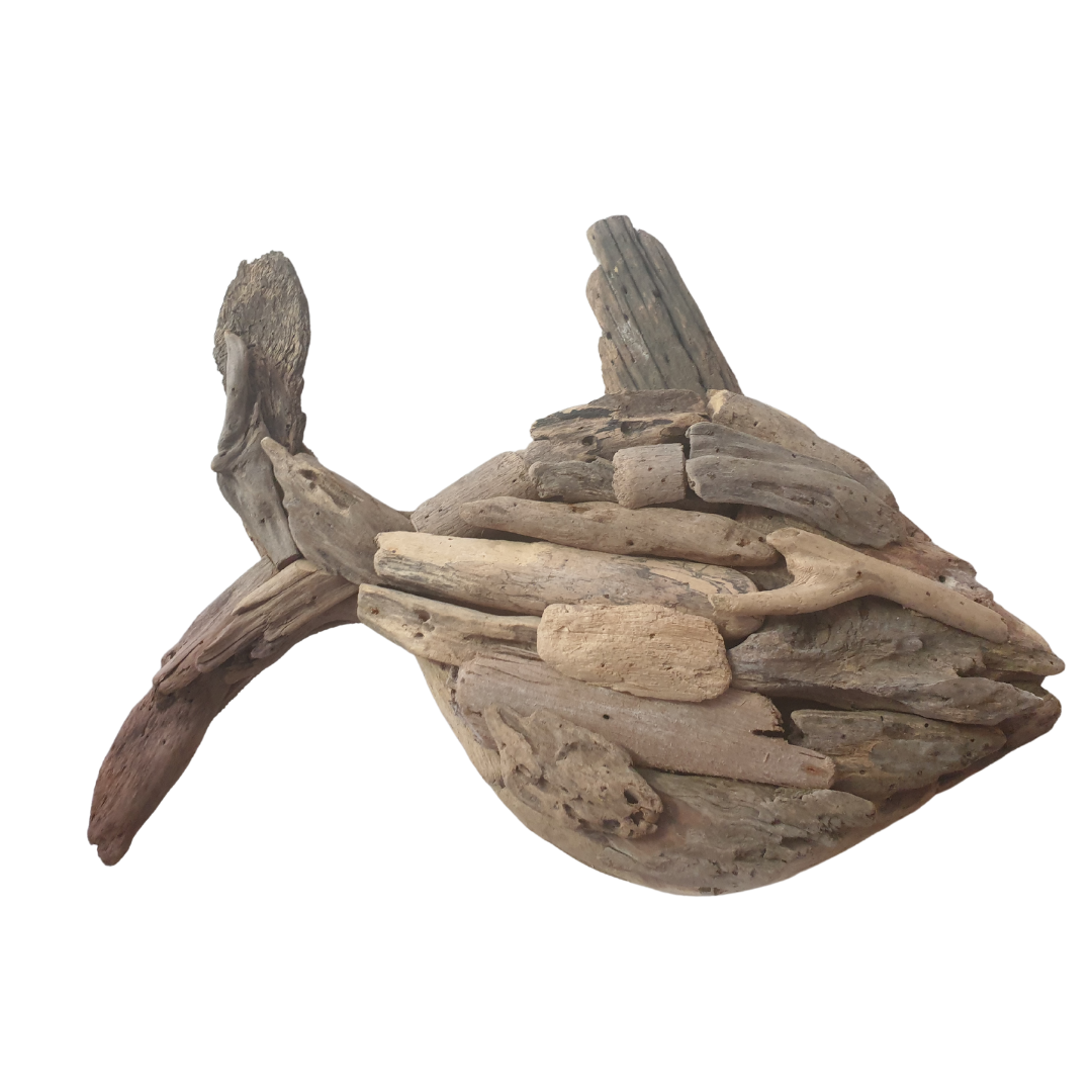 Driftwood Fish Boho Style