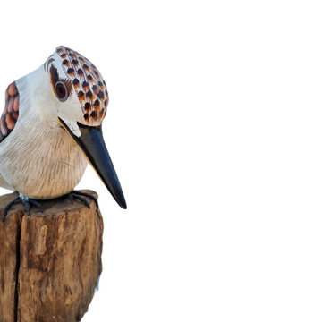 Australian Kookaburra Bird Art