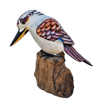 Australian Kookaburra Bird Art