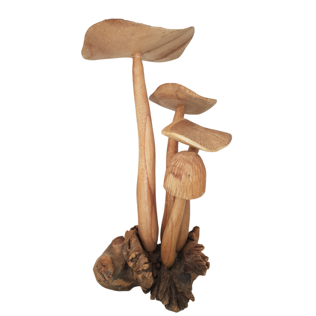 Mushrooms Wooden Carving Collectables 