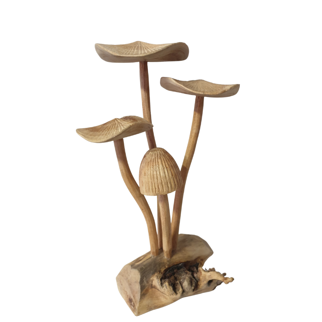 Mushrooms Wooden Carving Collectables 