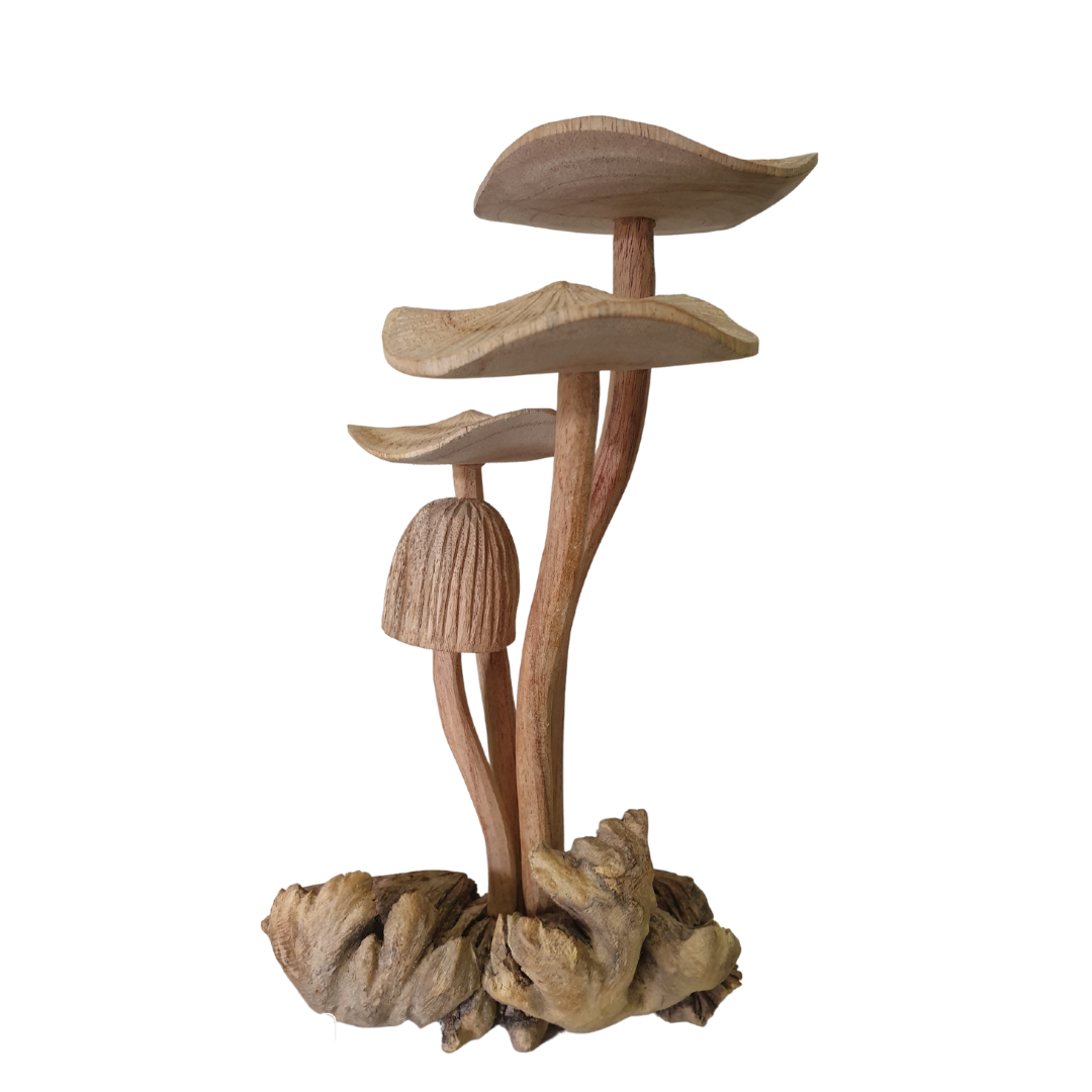 Mushrooms Wooden Carving Collectables 