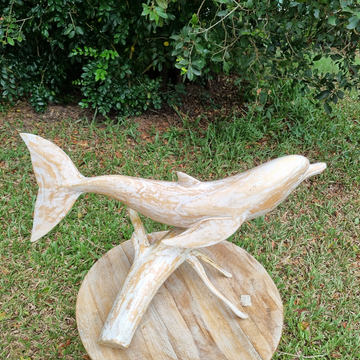 Dolphin Carving on Driftwood Stand