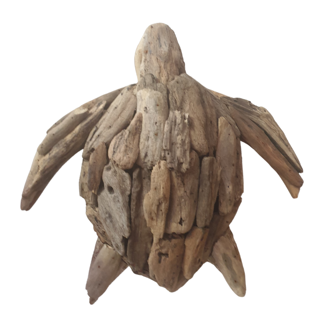 driftwood turtle