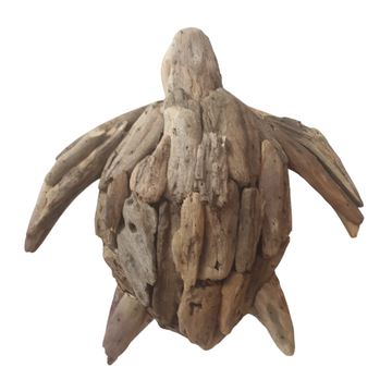 driftwood turtle