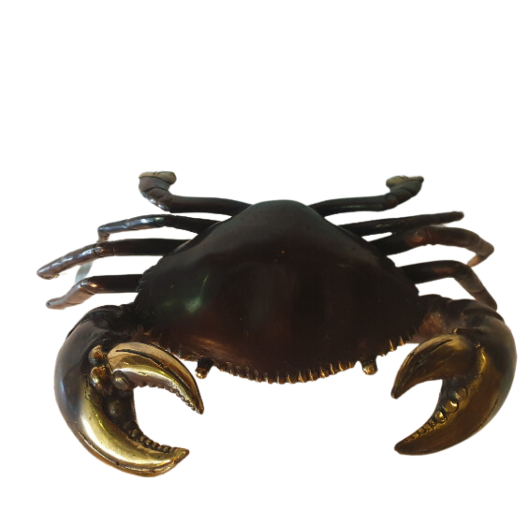 Brass Mud Crab 