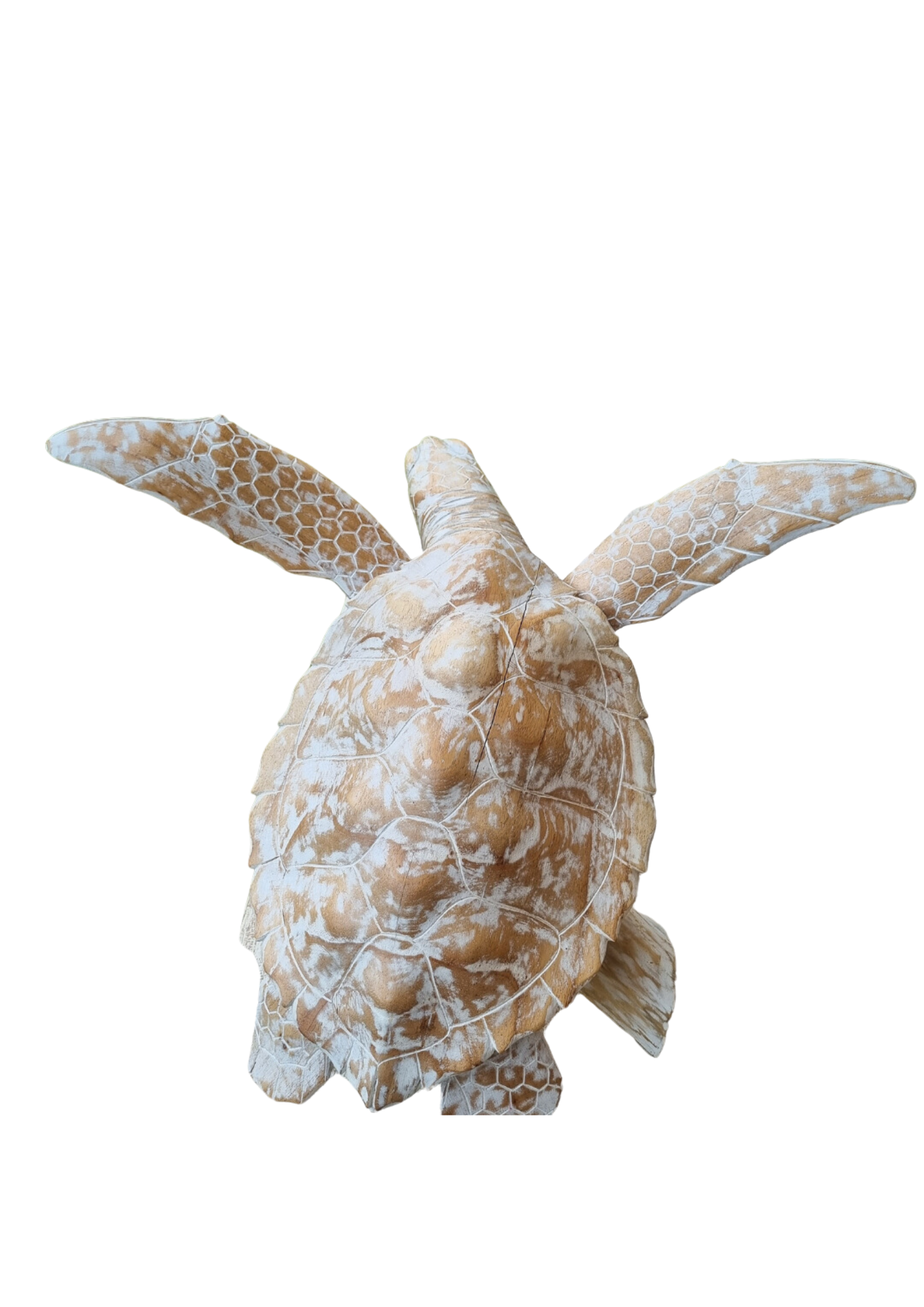 Turtle Sculpture Wooden Carving