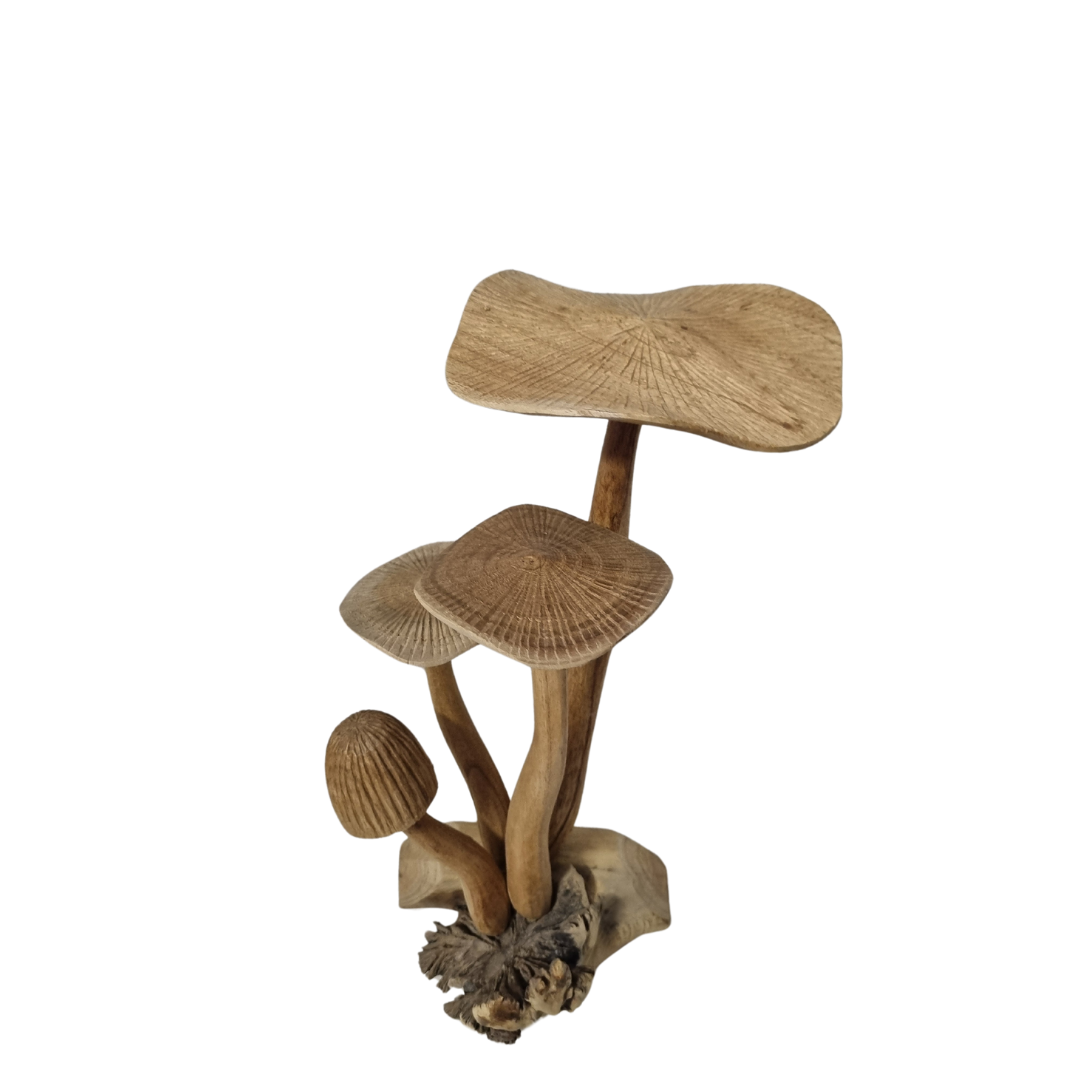 Mushrooms Wooden Carving Collectables 