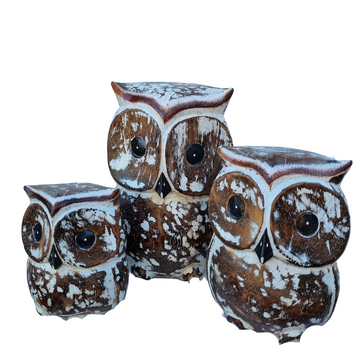 Owl Wooden Statues Set of Three