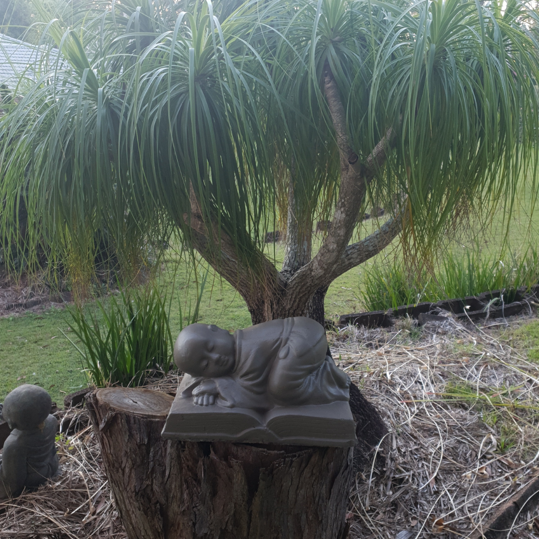 Sleeping Monk on Book Statue