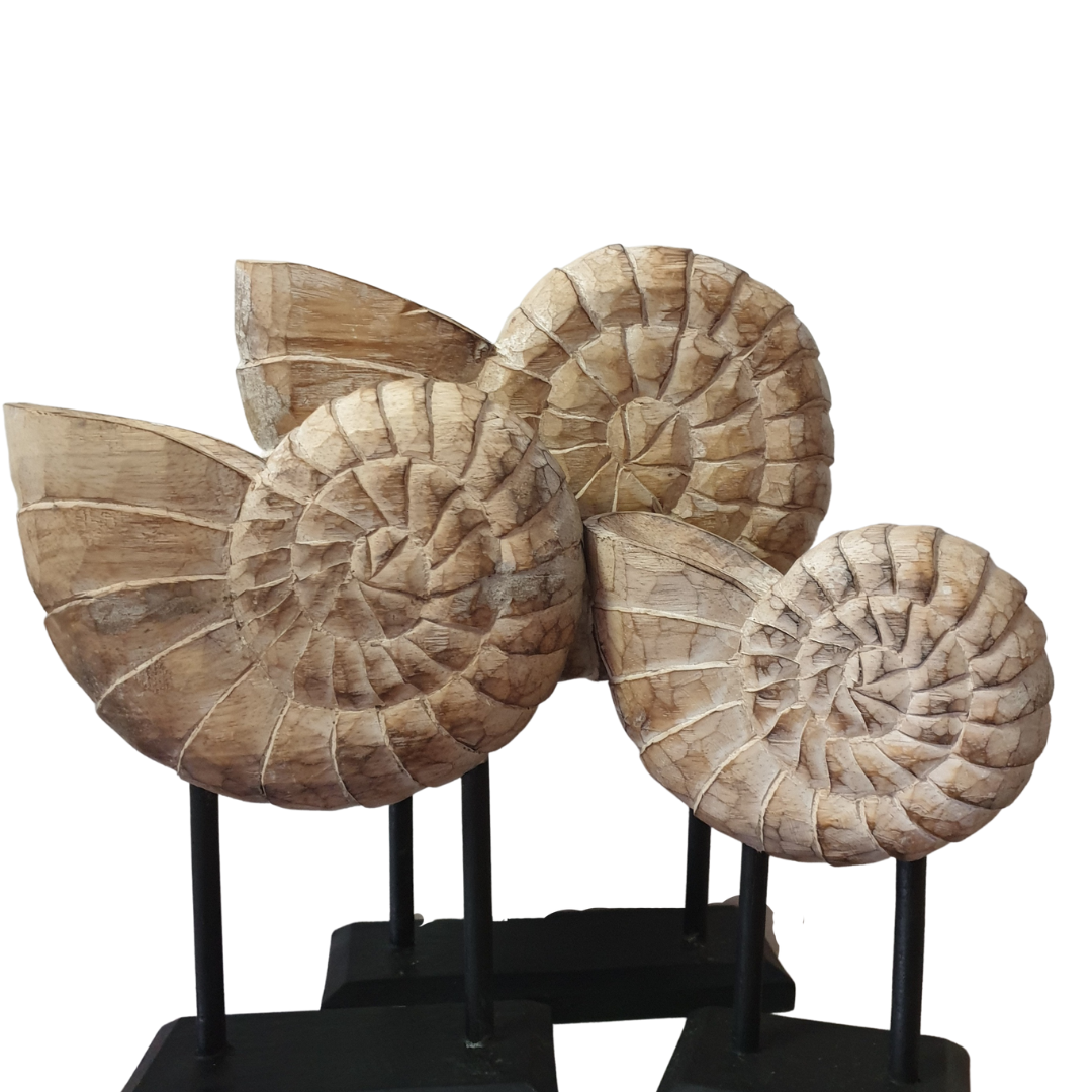 Coastal Decor Shell Design On Stand Set