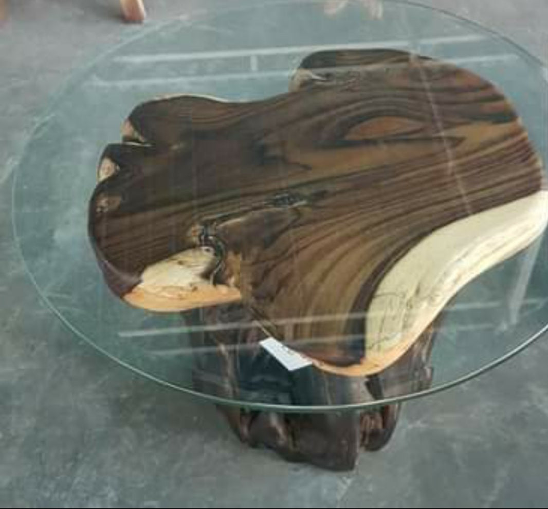 Unique Root Wood Coffee Table