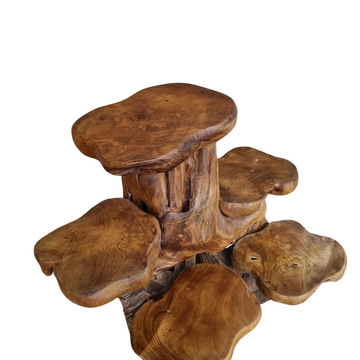 Teak Wood Plant Display Stand