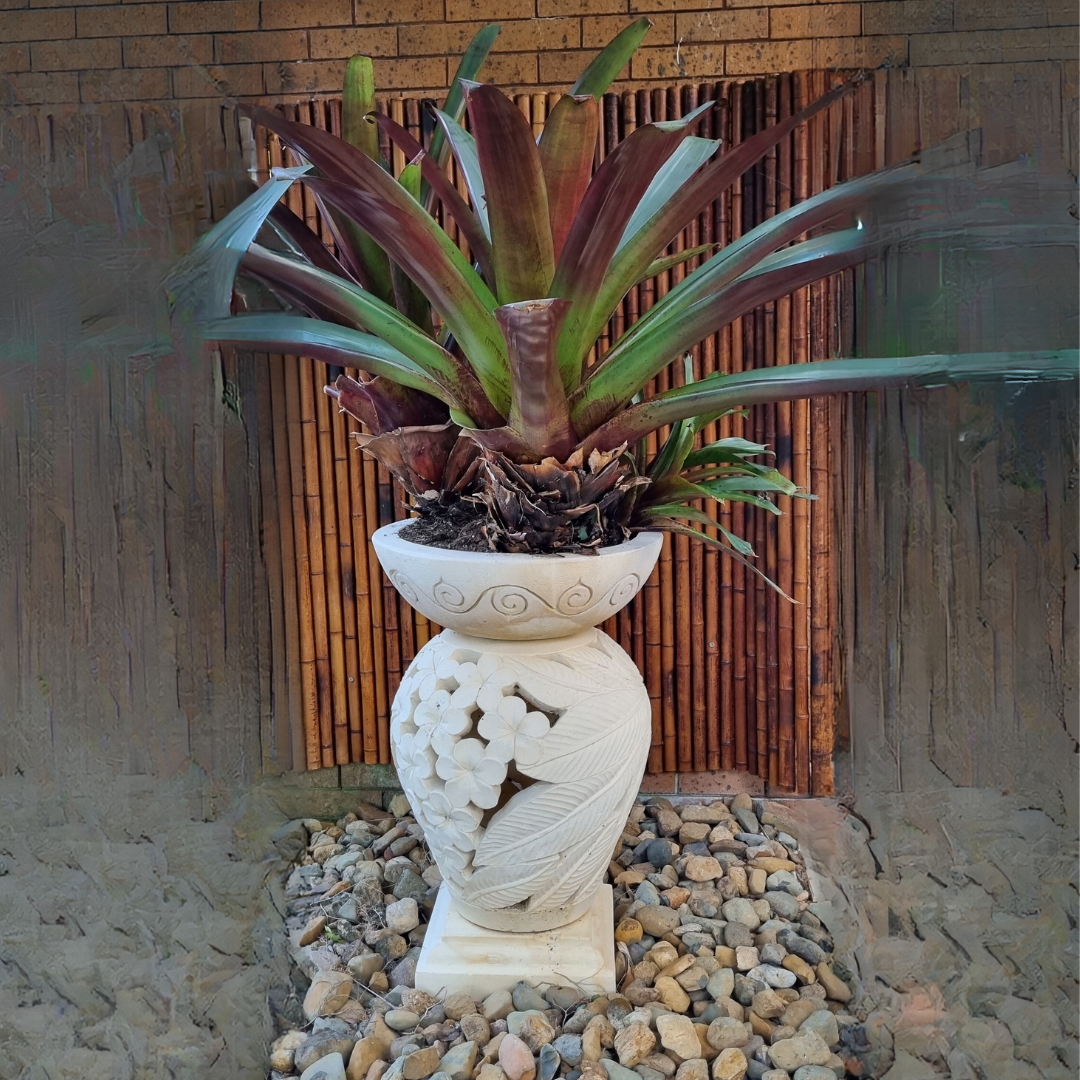 Garden Planter - Birdbath Frangipani Design