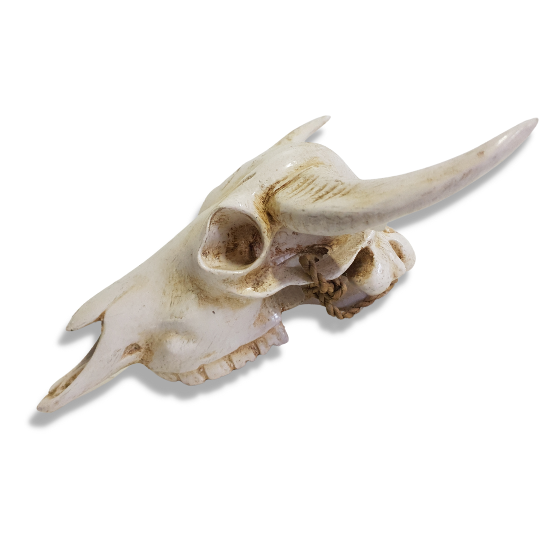 faux animal skull decor 