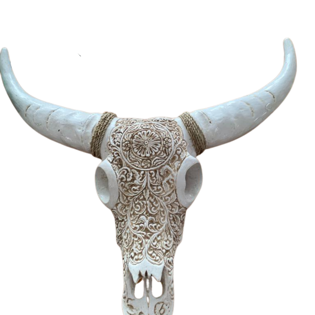 real hand carved cow skull