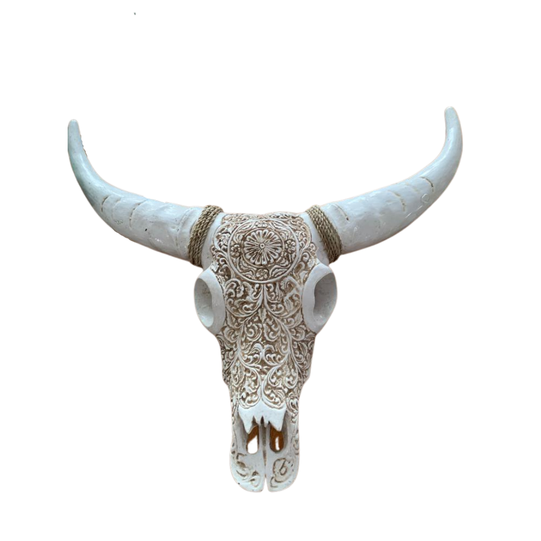 Bull Skull Vintage style