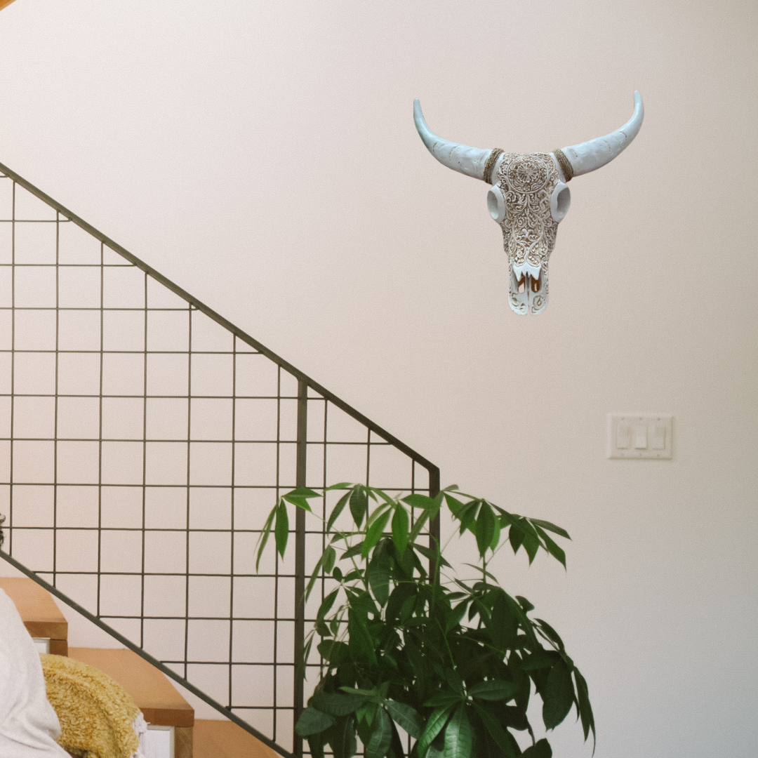 Bull skull set on a wall 