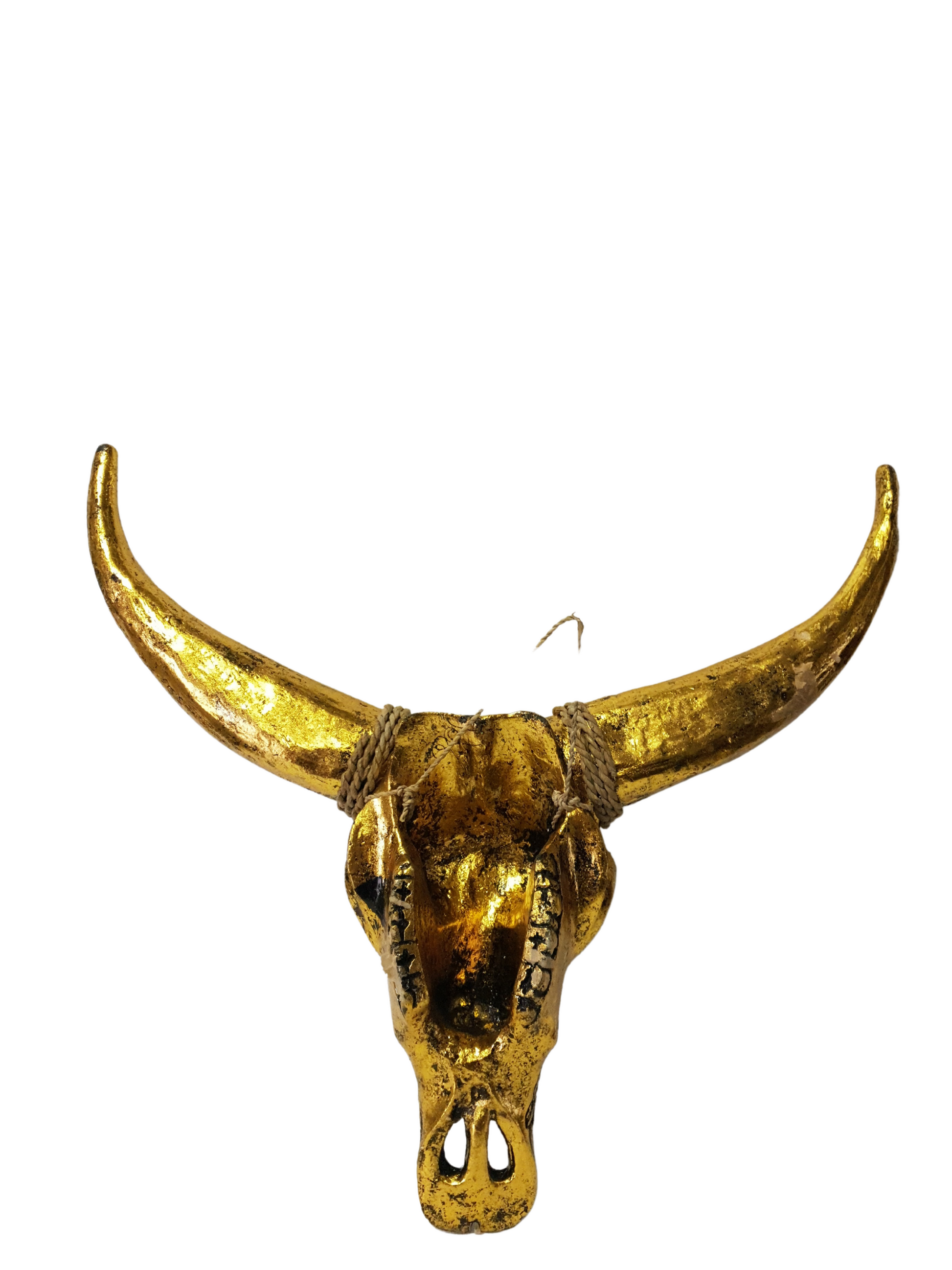 Boho Cow Bull Skull back view