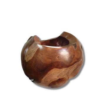 Natures Elegance Abstract Vase