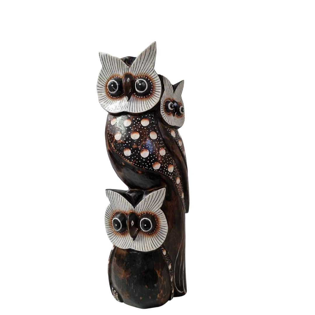 Wooden Carved Owl Statues