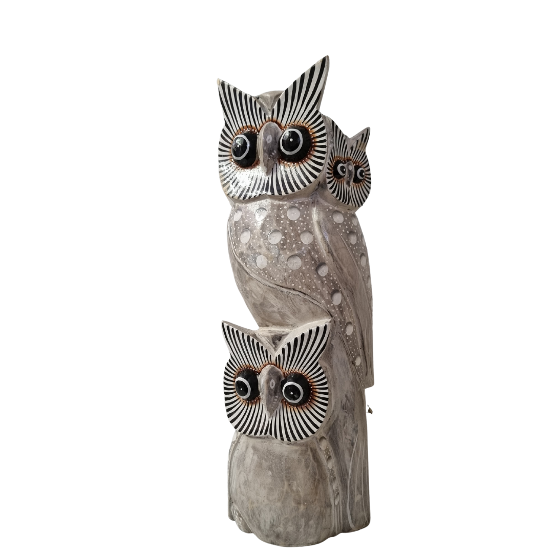 Wooden Carved Owl Statues