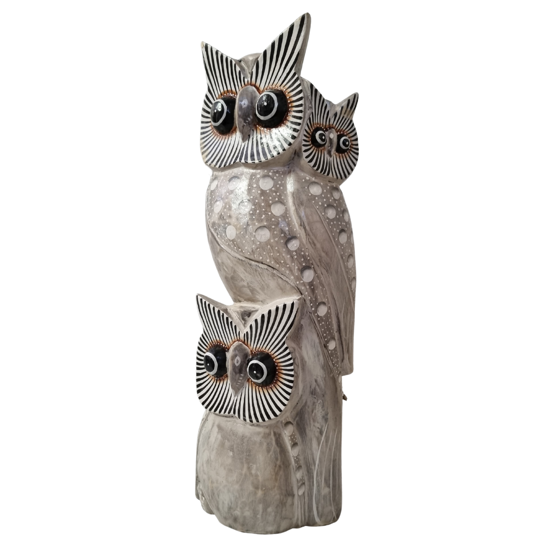 Wooden Carved Owl Statues