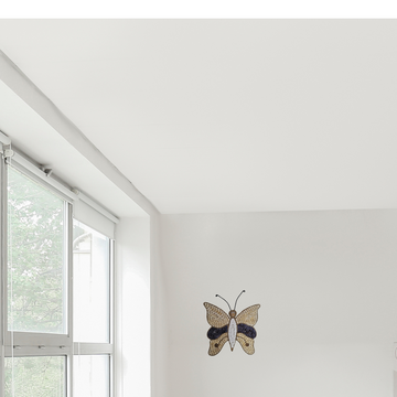 Butterfly Shell Wall Art