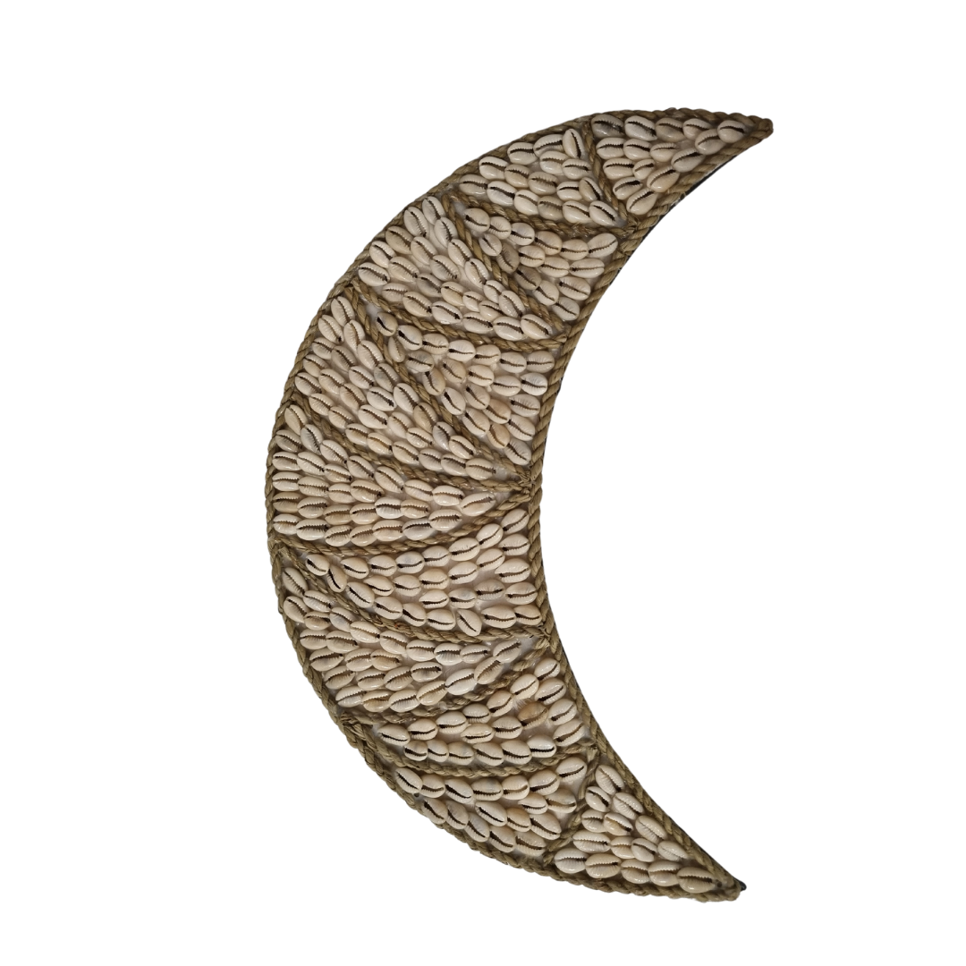 Cresent Moon Shell Wall Art Beige