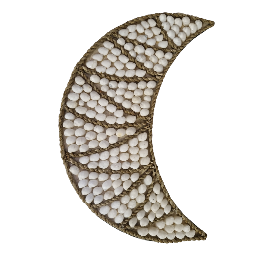 Cresent Moon Shell Wall Art White 