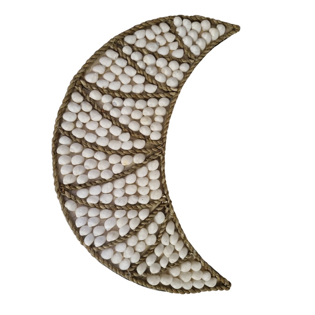 Cresent Moon Shell Wall Art White