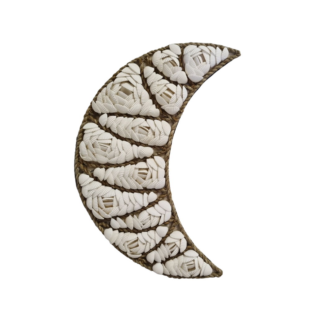 Cresent Moon Shell Wall Art white