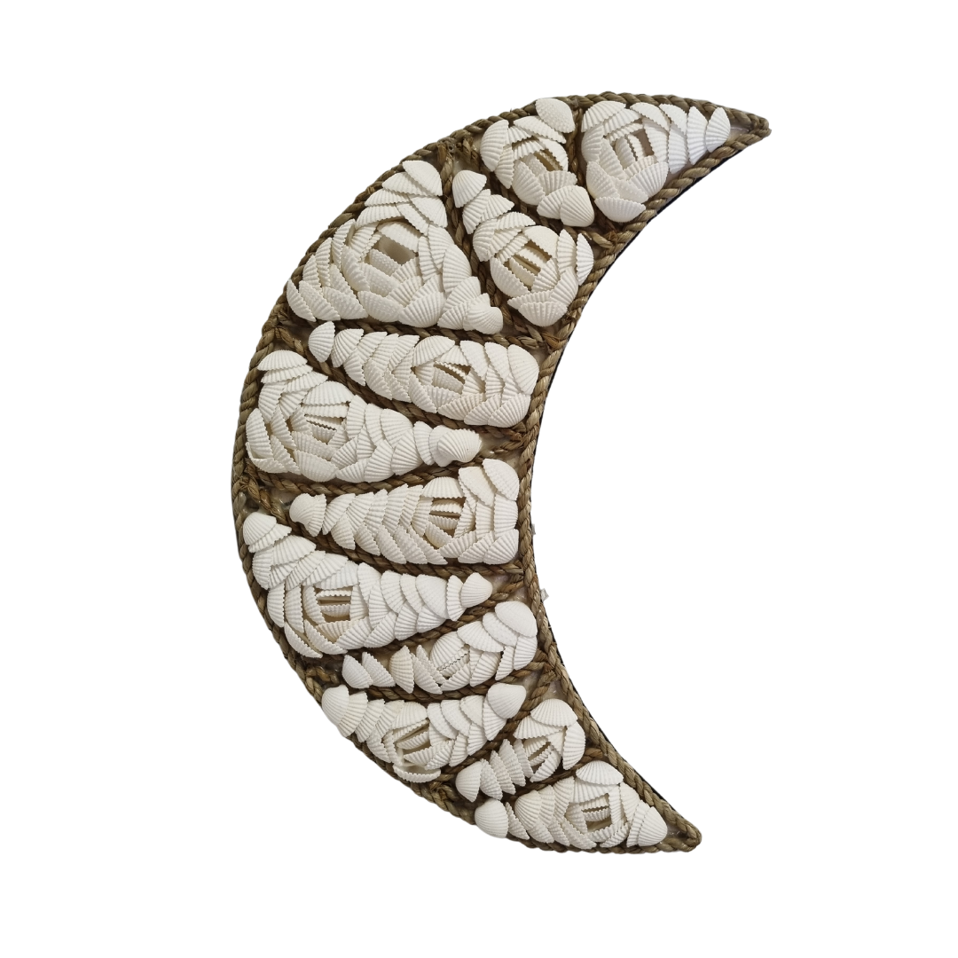 Cresent Moon Shell Wall Art White