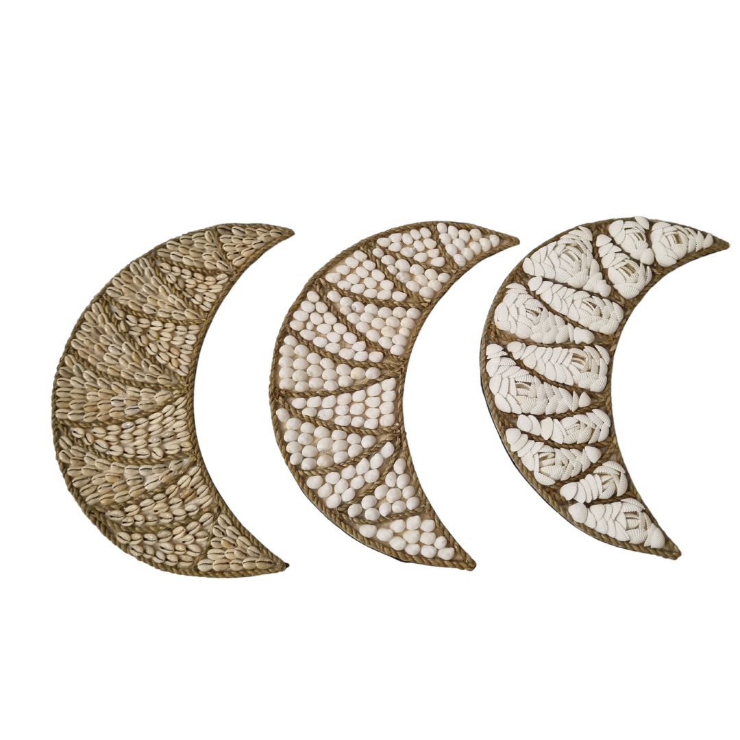 Cresent Moon Shell Wall Art 3 styles 