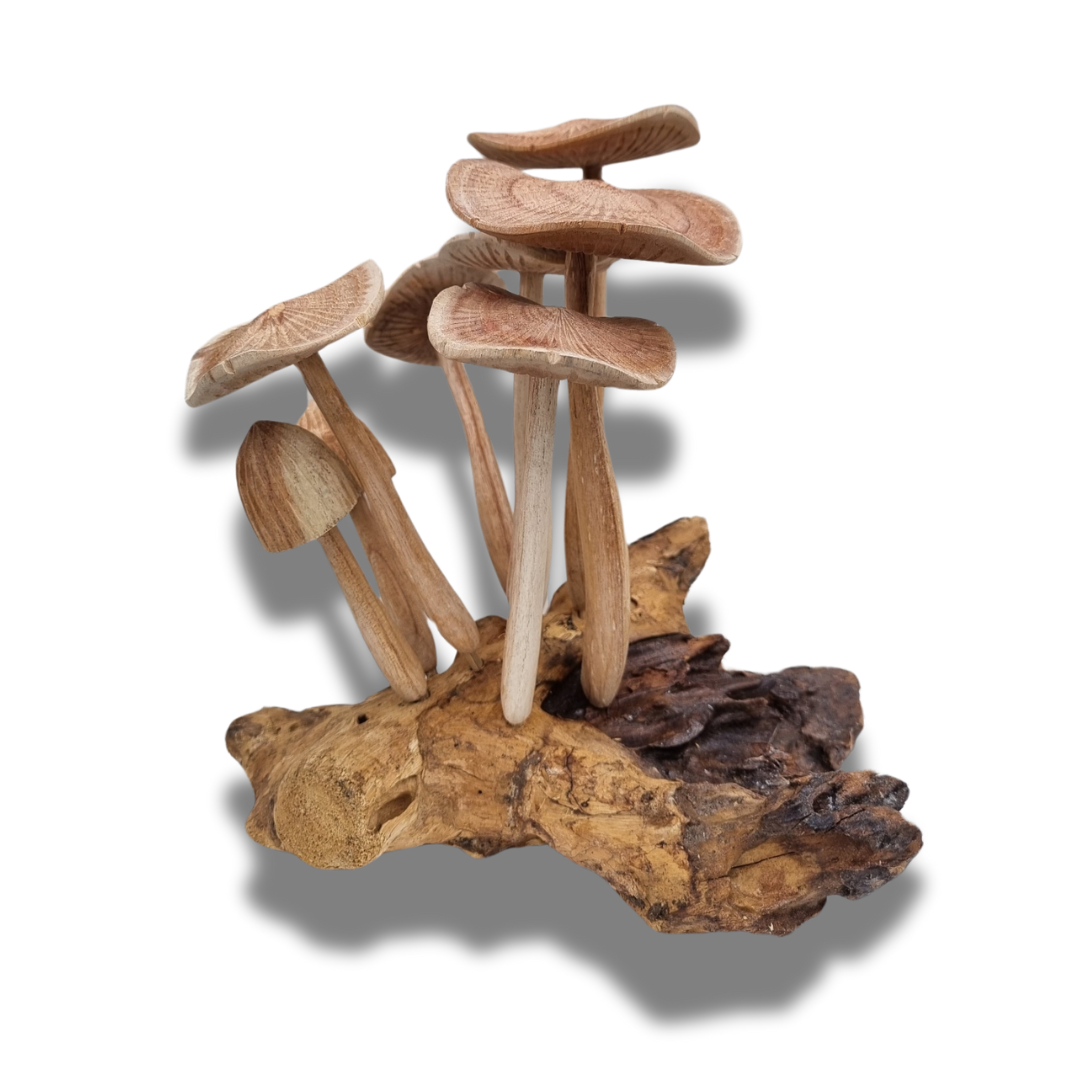 Hand-Carved Mushroom Art 