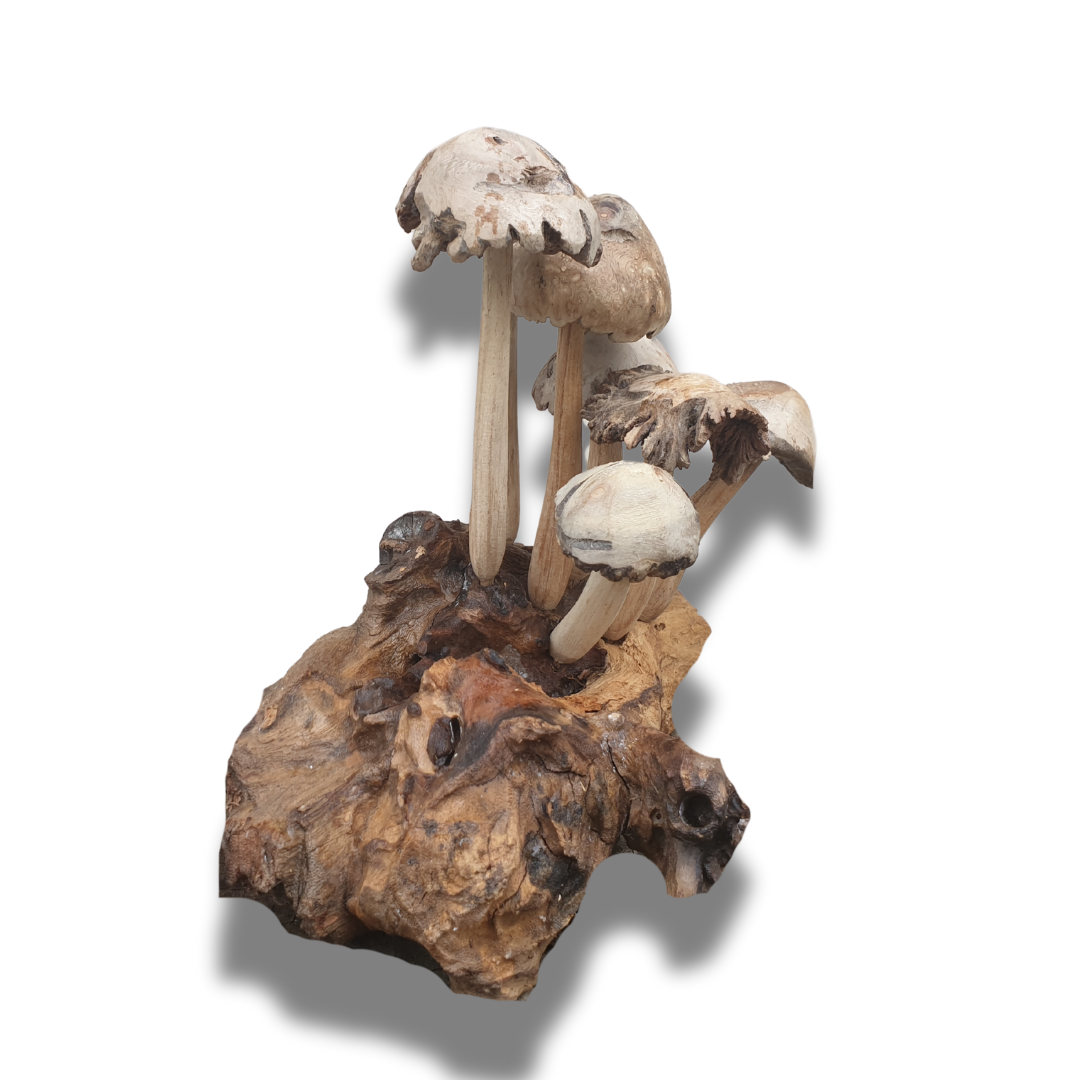 Hand-Carved Mushroom Art 