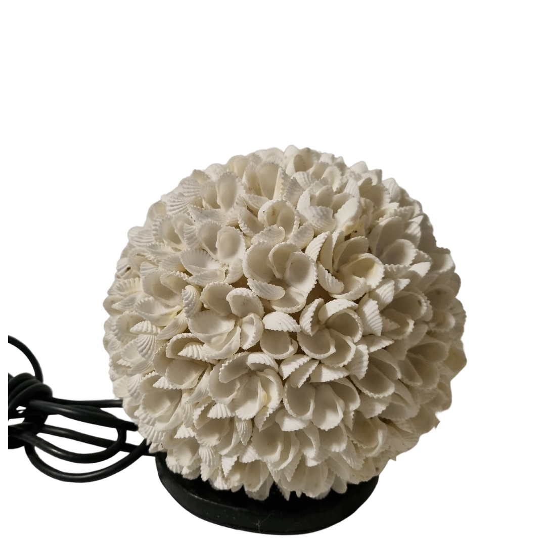 Table Lamp Rose Shell Design