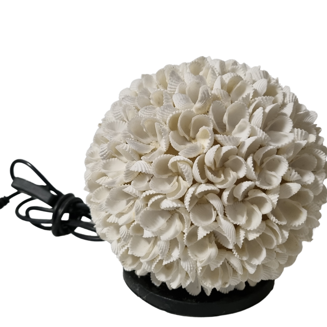 Table Lamp Rose Shell Design