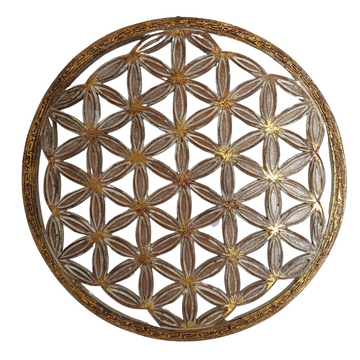 Flower Of Life - The Unity of Everything