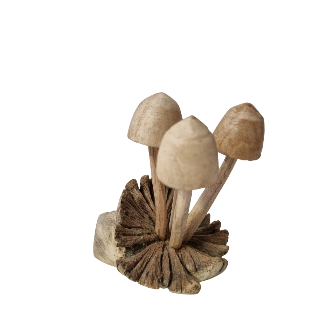 Mushroom Artwork Wooden Carvings