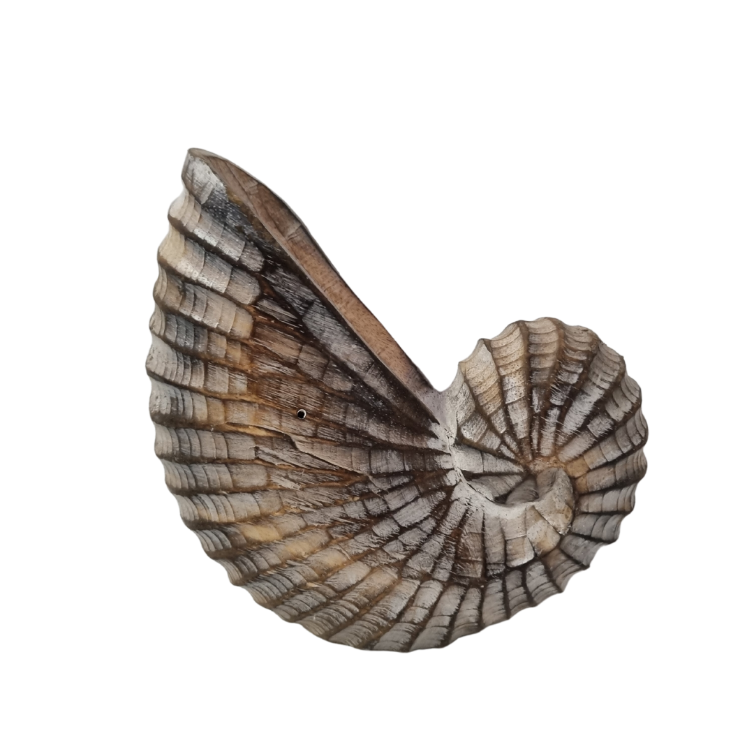 Nautilus Wooden Shell Carving