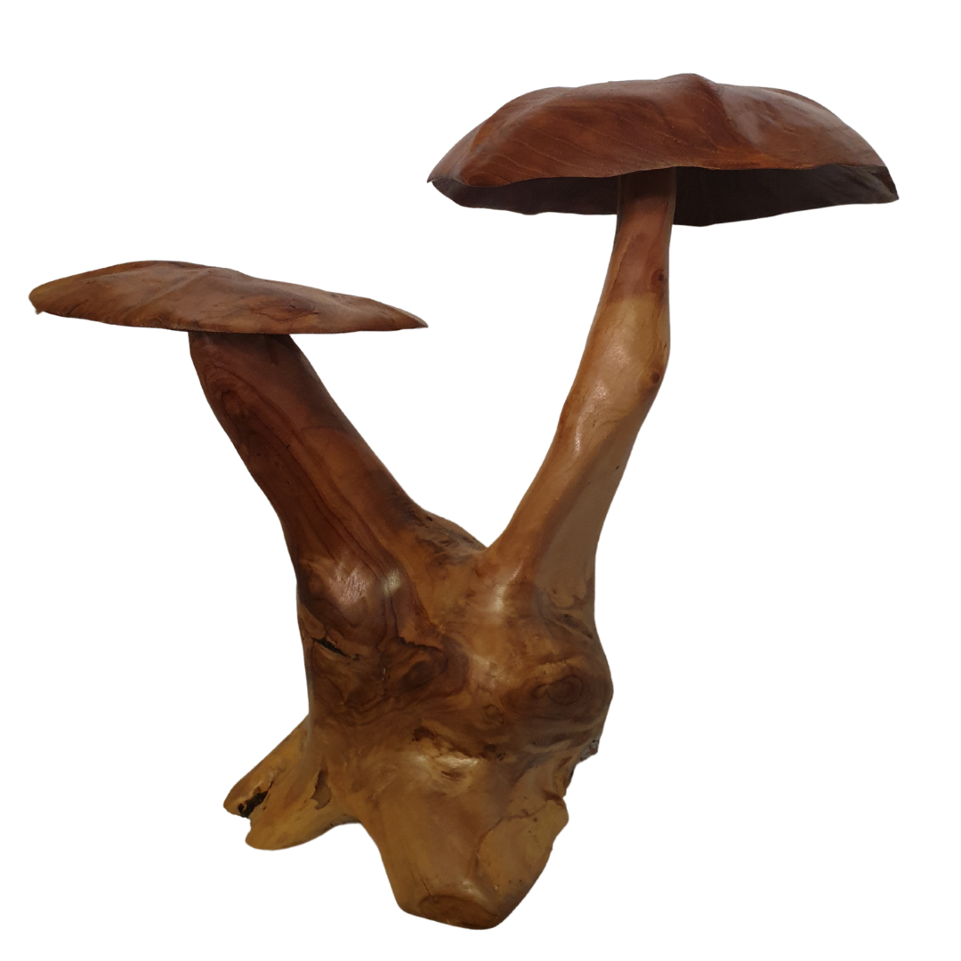 Fungi Décor (Mushroom Décor)