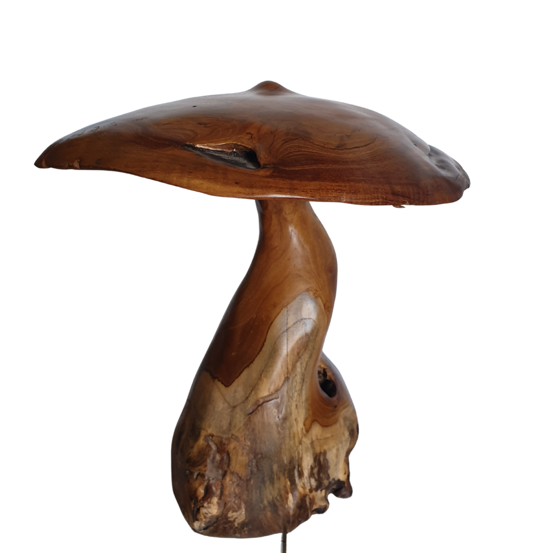 Fungi Décor (Mushroom Décor