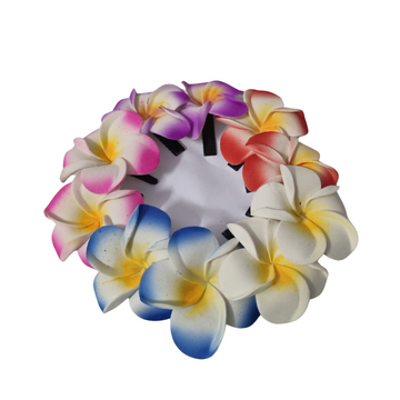 Frangipani Hair Clips Pack